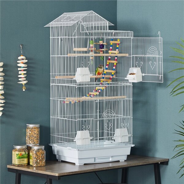 Cages for store budgies for sale